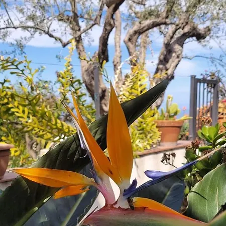 לינה וארוחת בוקר Timpabella House