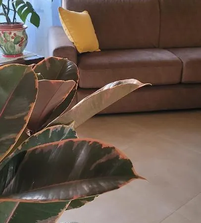 Timpabella House אסראלה