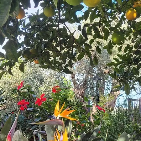 Timpabella House אסראלה