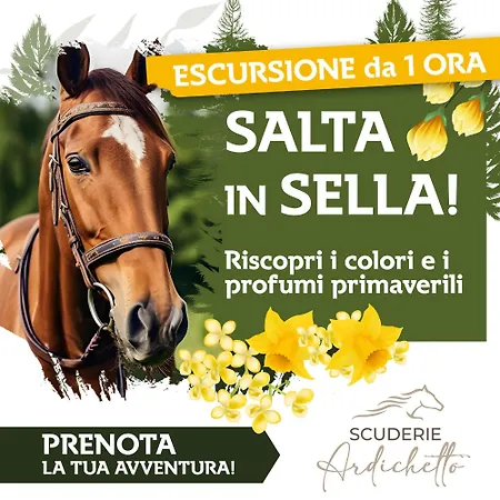 Timpabella House לינה וארוחת בוקר אסראלה